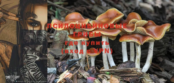 скорость Абинск